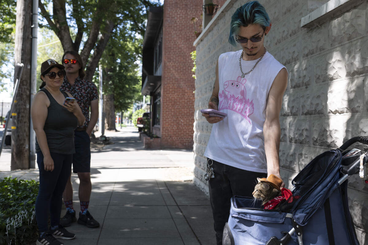 Colten Vanderpool pets his cat Ollie as he pushes him around in a stroller during the NorCal Resist Cat Tour in Sacramento on Sunday, June 7, 2026.