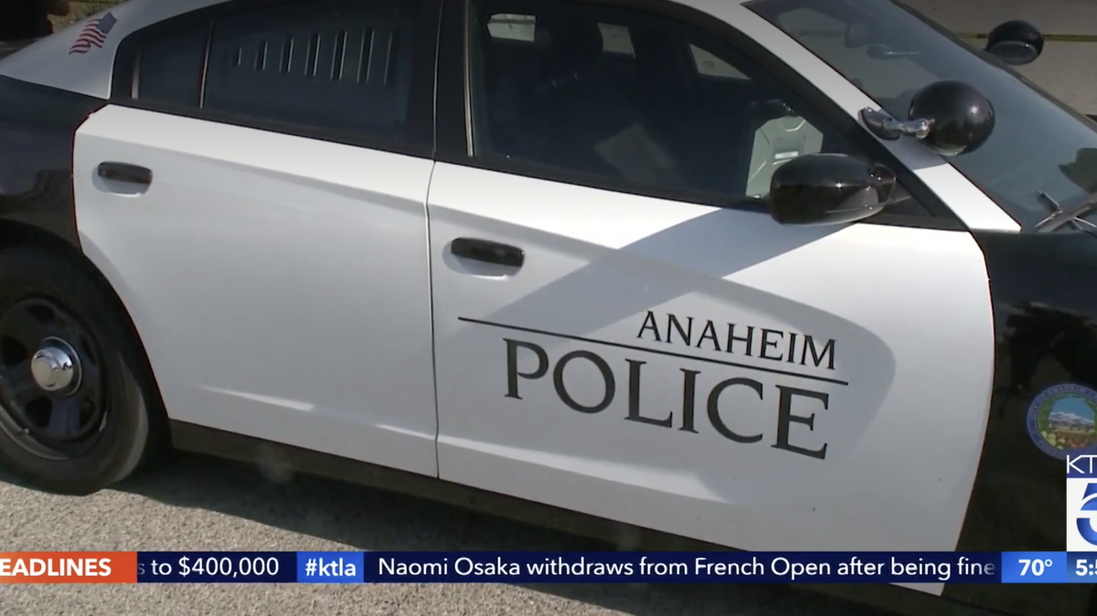 Anaheim police said they arrested David Abbott after he beat Rahmatolah “David” Yaghoubi, 70, to death outside his home and earlier attacked a 60-year-old man.
