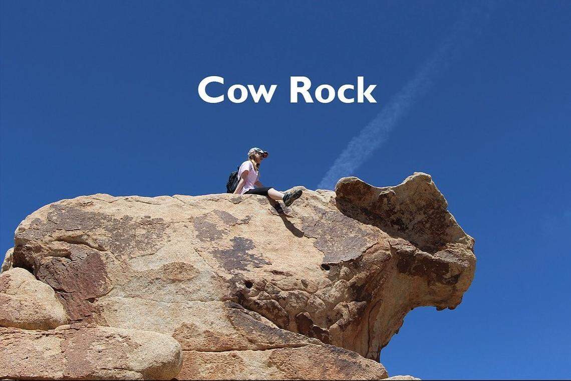 Cow Rock at Joshua Tree National Park in California