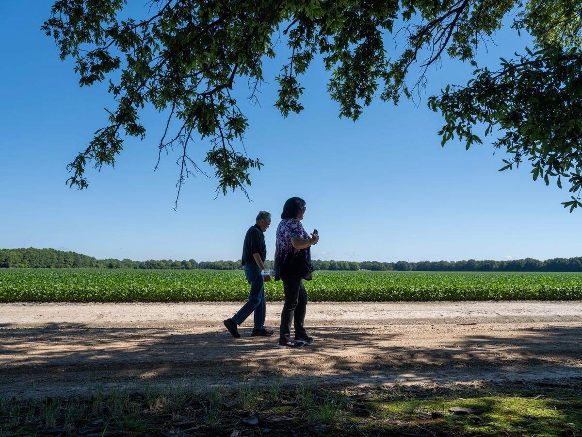 Sacramento resident Mits Yamamoto, 98, walks with his daughter Ginny Syphx on the site of the the Jerome Incarceration camp in June in Arkansas. He lived there during the duration of World War II.