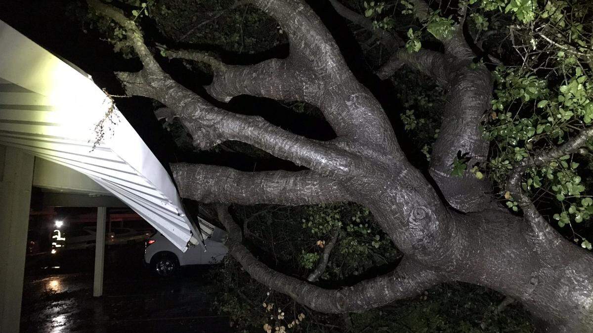 A tornado-like “weather anomaly,” possibly a water spout that moved onshore, uproots trees and damages property in Santa Barbara, California.