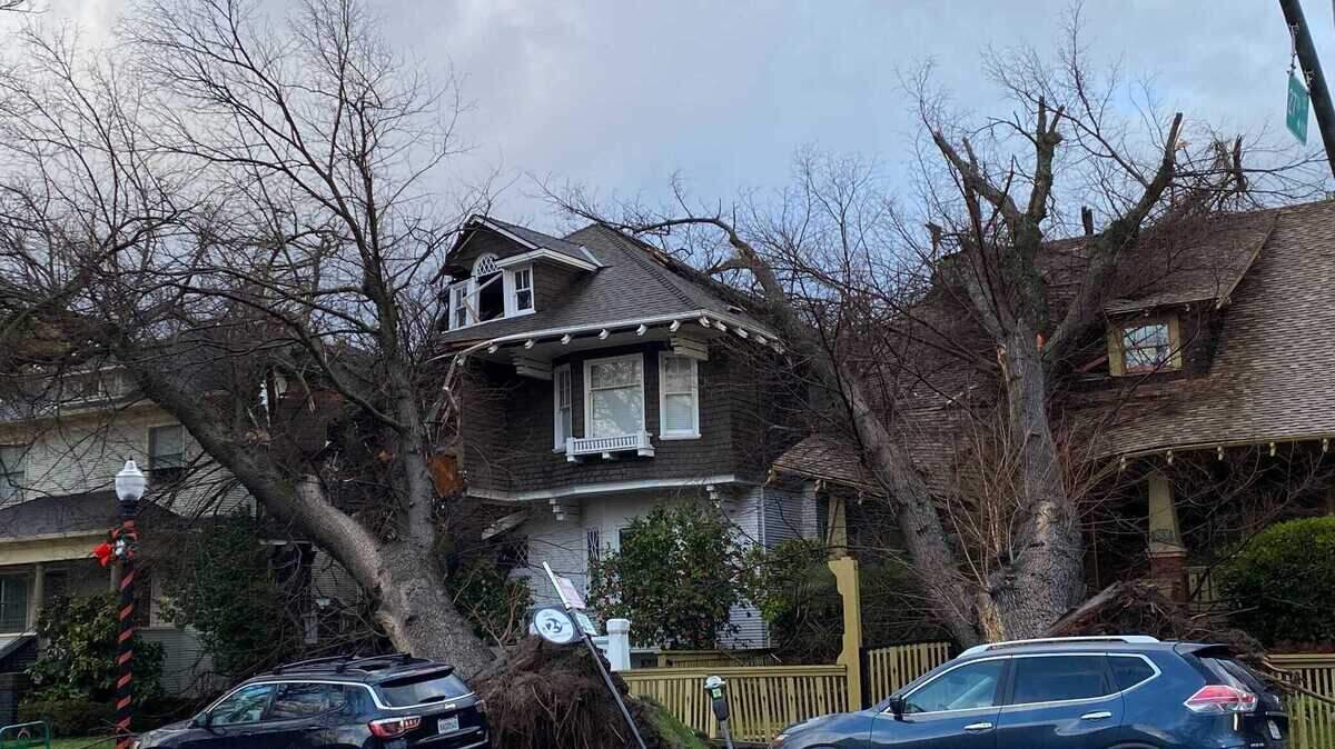 Two homes are damaged Sunday on Capitol Avenue near 27th Street after trees were uprooted during violent winds from a winter storm. Trees and power lines were down across midtown Sacramento.