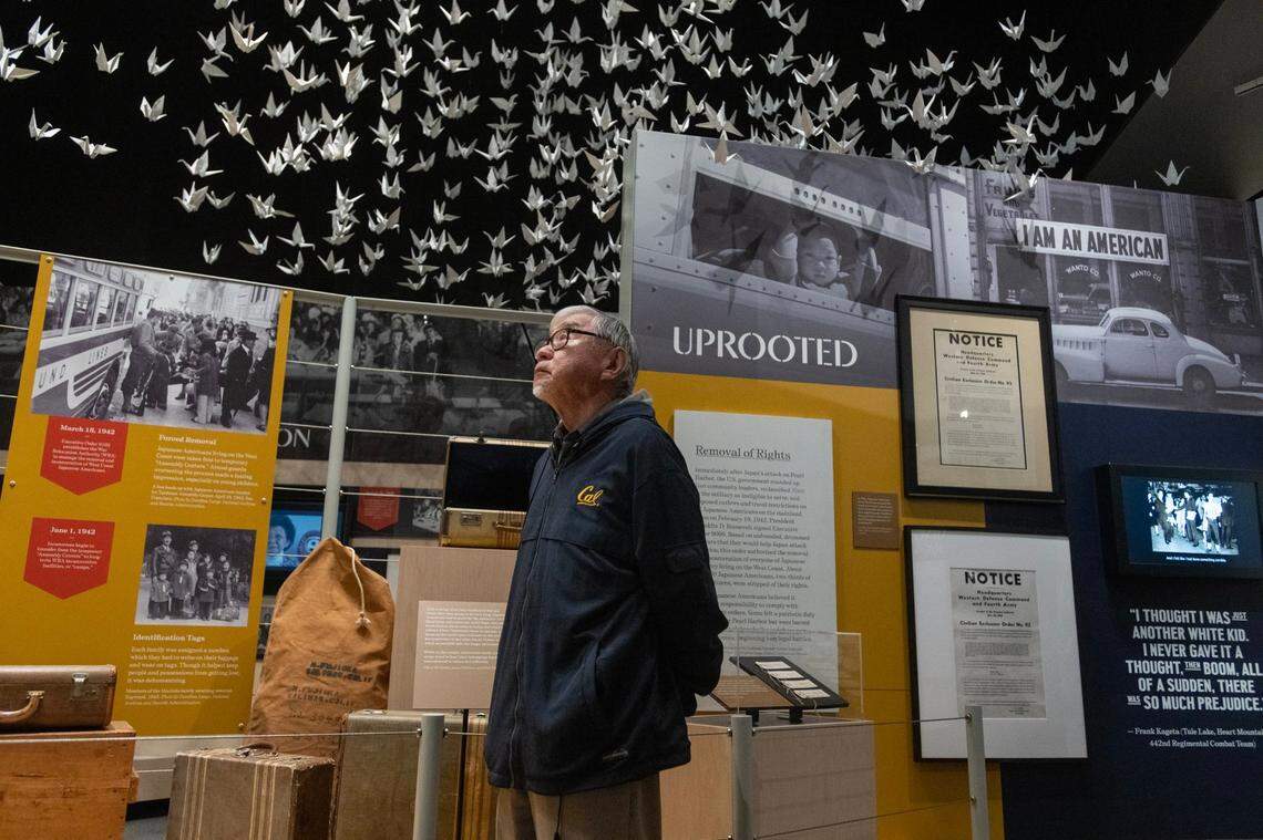 Lester Ouchida looks up a paper origami at the “Uprooted: An American Story” exhibition at the California Museum on Feb. 28. Ouchida was four years old when his family was forced to leave his Florin home for the incarceration camps. He said he remembers arriving home on a bus, after 3 1/2 years in the camp, and how the women on the bus all cried and said “we are home.” He is a docent at the museum.