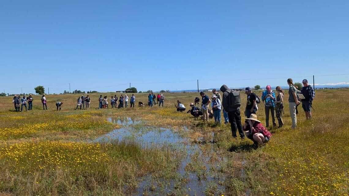 How Splash helps Sacramento-area students explore science, nature beyond class