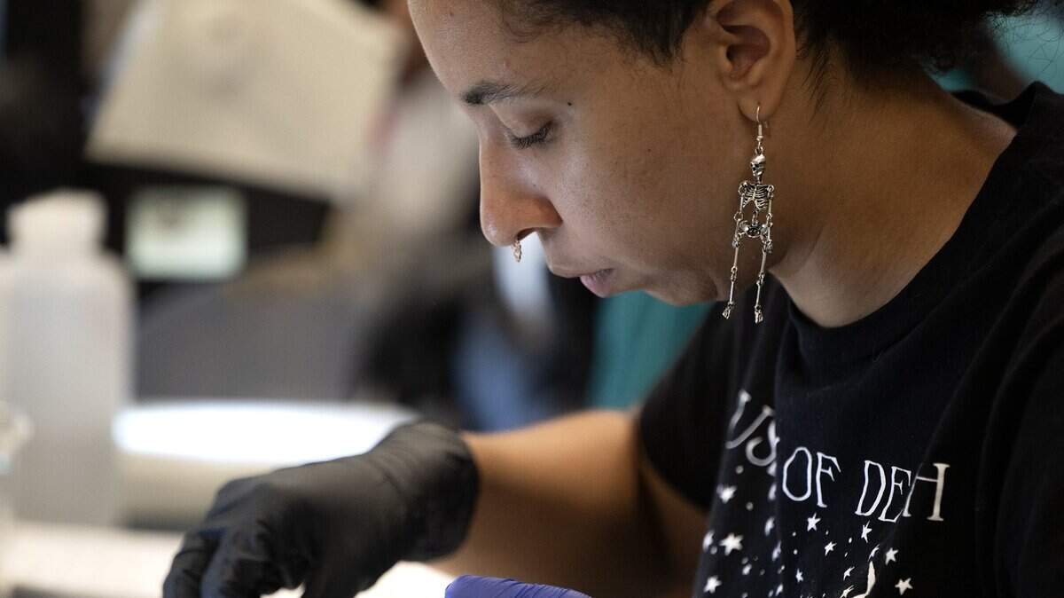 Mae York, a third-year undergraduate student, removed the eyes of a frozen salmon while doing research in a lab on the UC Davis campus on Tuesday, July 15, 2025.