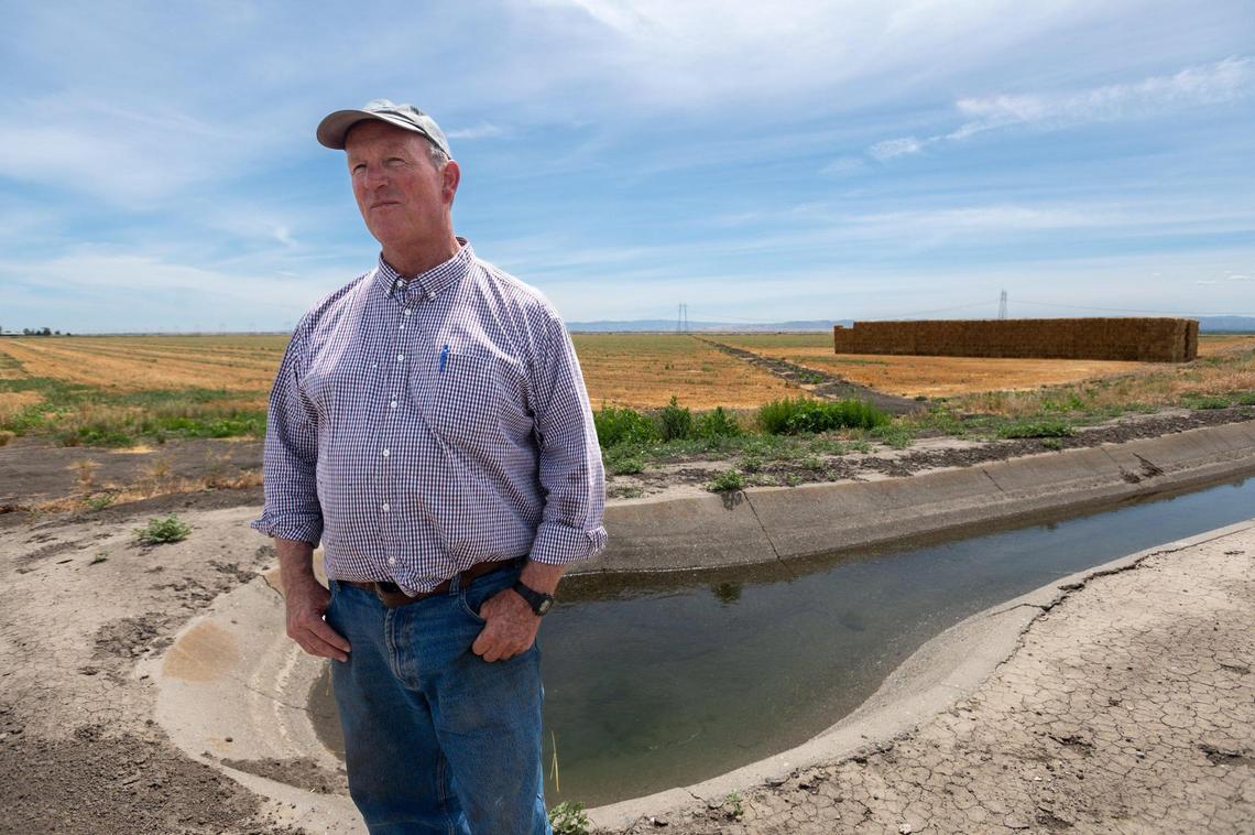 Yolo County farmer Fritz Durst stands near the Reclamation District Canal 108 that irrigates his fields in Yolo County in June. Instead of planting rice this year, he planted hay that uses less water. He chairs the Sites Reservoir project, which will help farmers but is years away.