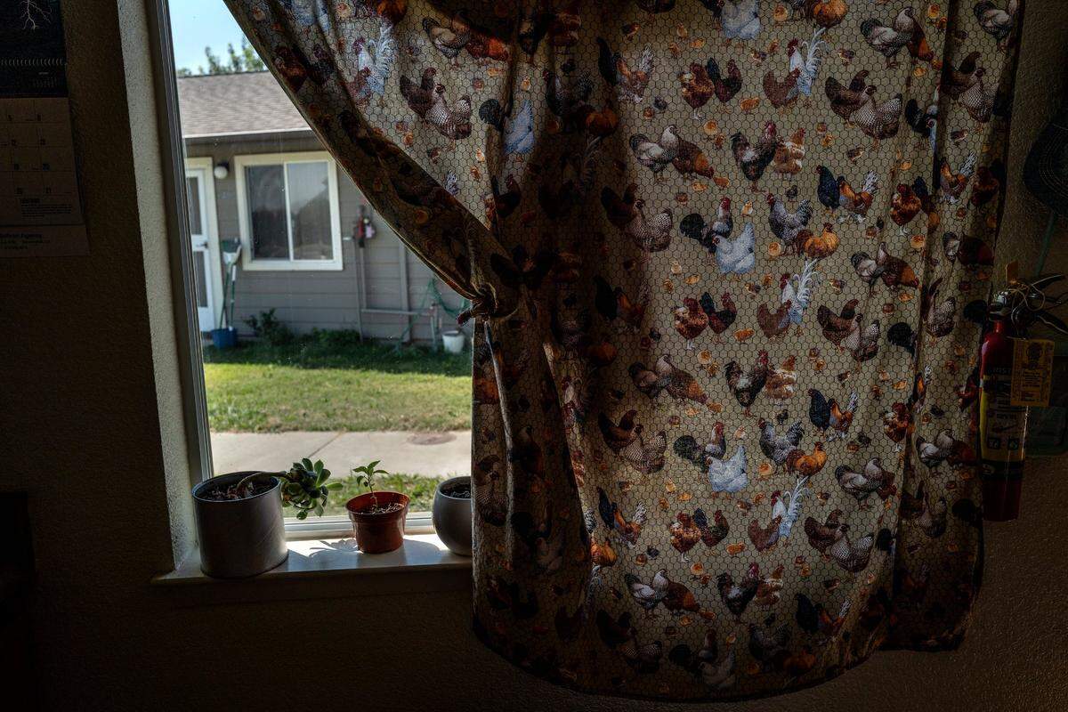 A curtain decorated with chickens hangs in the window of Natalie Beltran’s apartment for migrant farmworkers in August at the Davis Migrant Center.