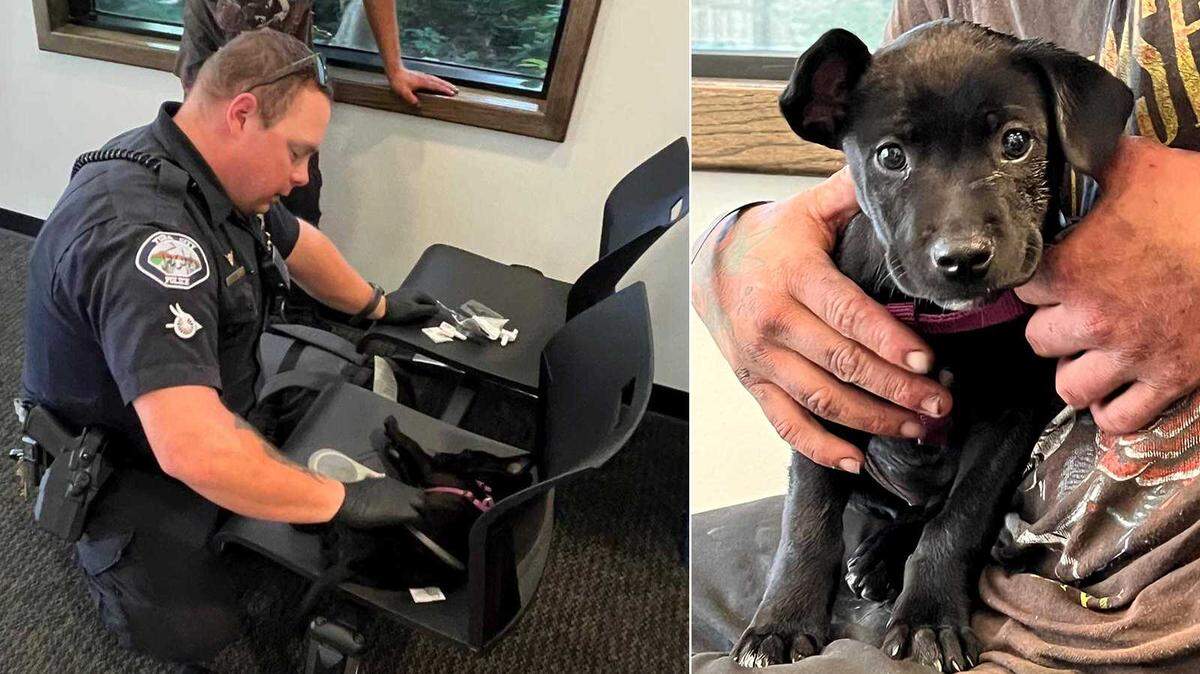 Yuba City Officer Steven DeNeef administers two doses of Narcan to a puppy named Wednesday after its owner brought the dog to Yuba City Police Department on Friday morning.