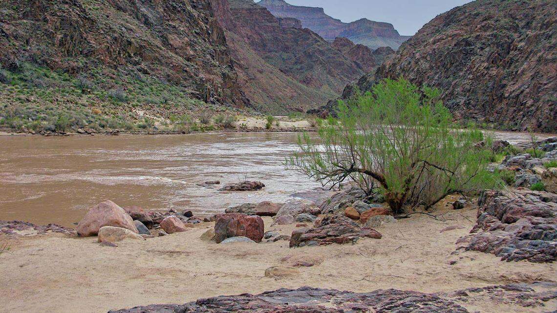 View looking east and up the Colorado River from Pipe Creek Beach.