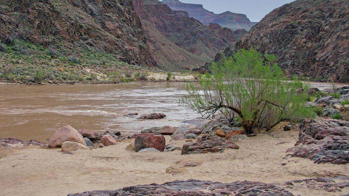 View looking east and up the Colorado River from Pipe Creek Beach.