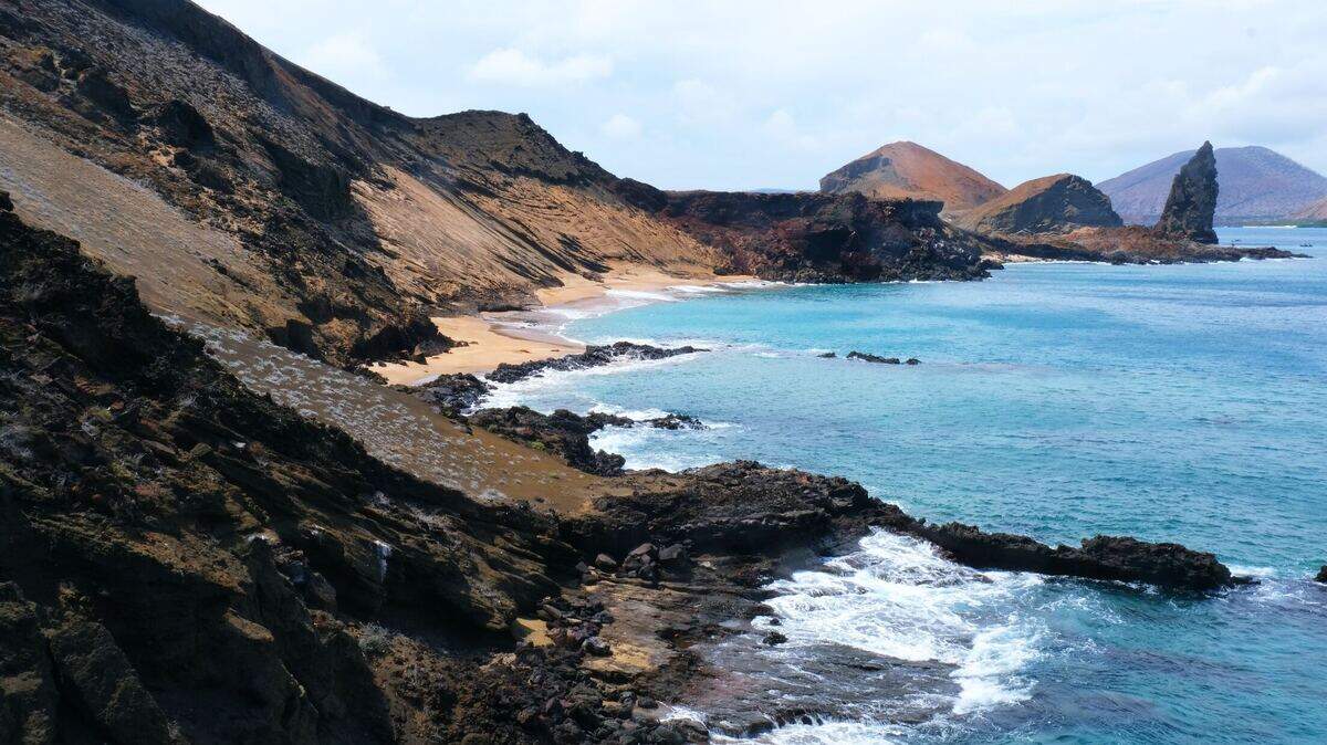 A nurse was bitten by a shark during a snorkeling trip in the Galapagos Islands, but didn’t realize it until she noticed her own blood in the water.