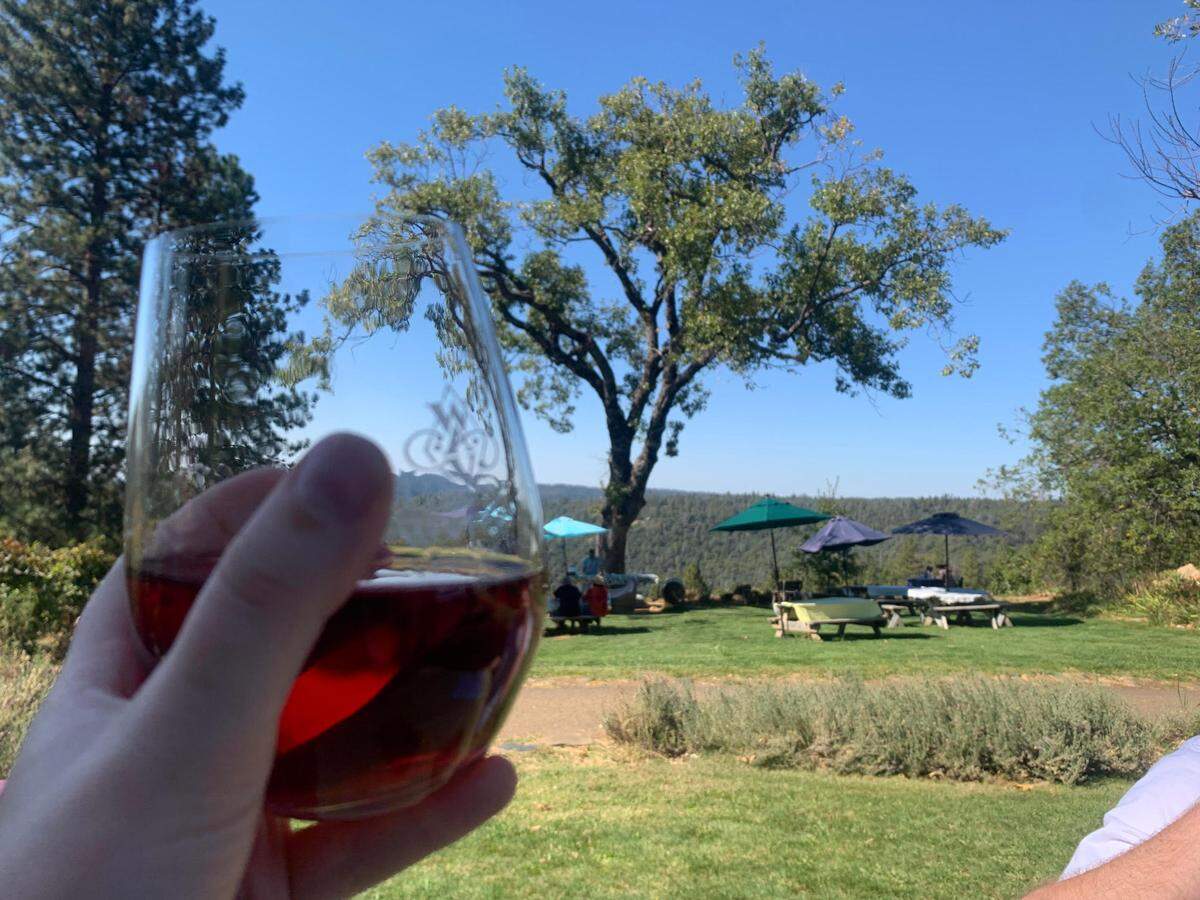 A glass of wine at Wofford Acres Vineyard on Apple Hill, Oct. 8, 2022.