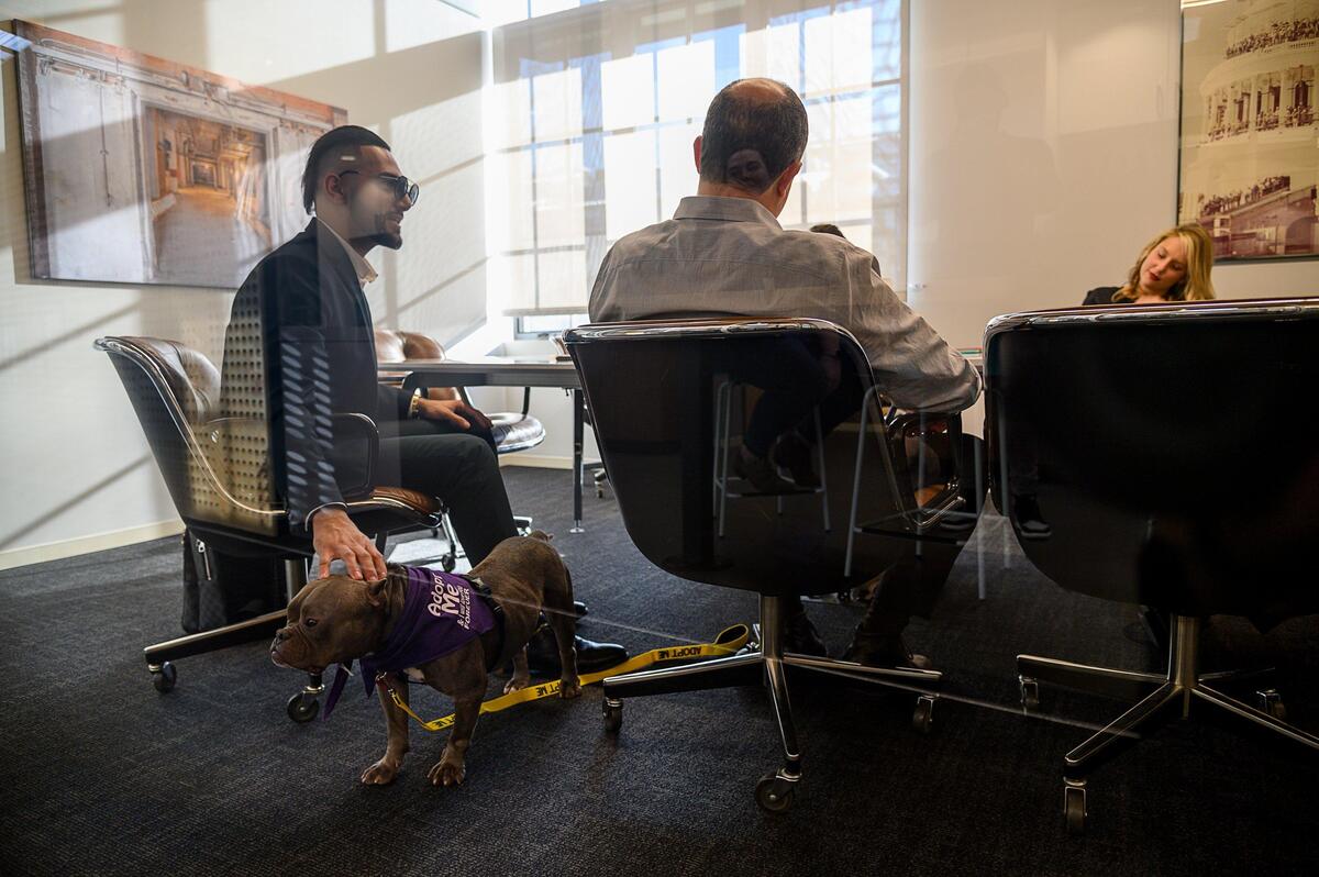 Zayn Silmi, left, takes his adoptable dog Lucy Rose to a business meeting on Wednesday, January 23, 2019 in Sacramento. Front Street Shelter’s “doggie day out” program lets people rent a dog for a few hours to a day.