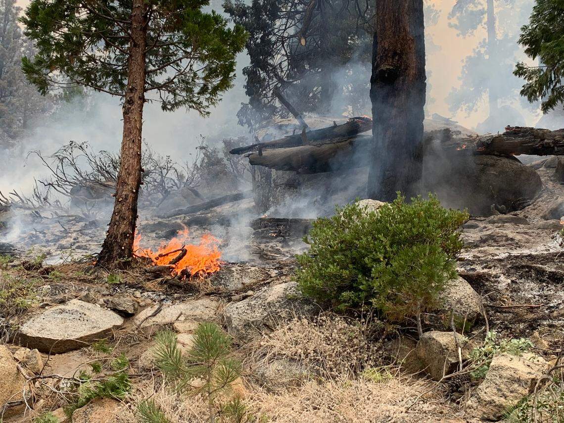 A tree catches fire on a hillside just south of Christmas Valley on Friday, four days after the Caldor Fire threatened to destroy homes in the residential area near Lake Tahoe.
