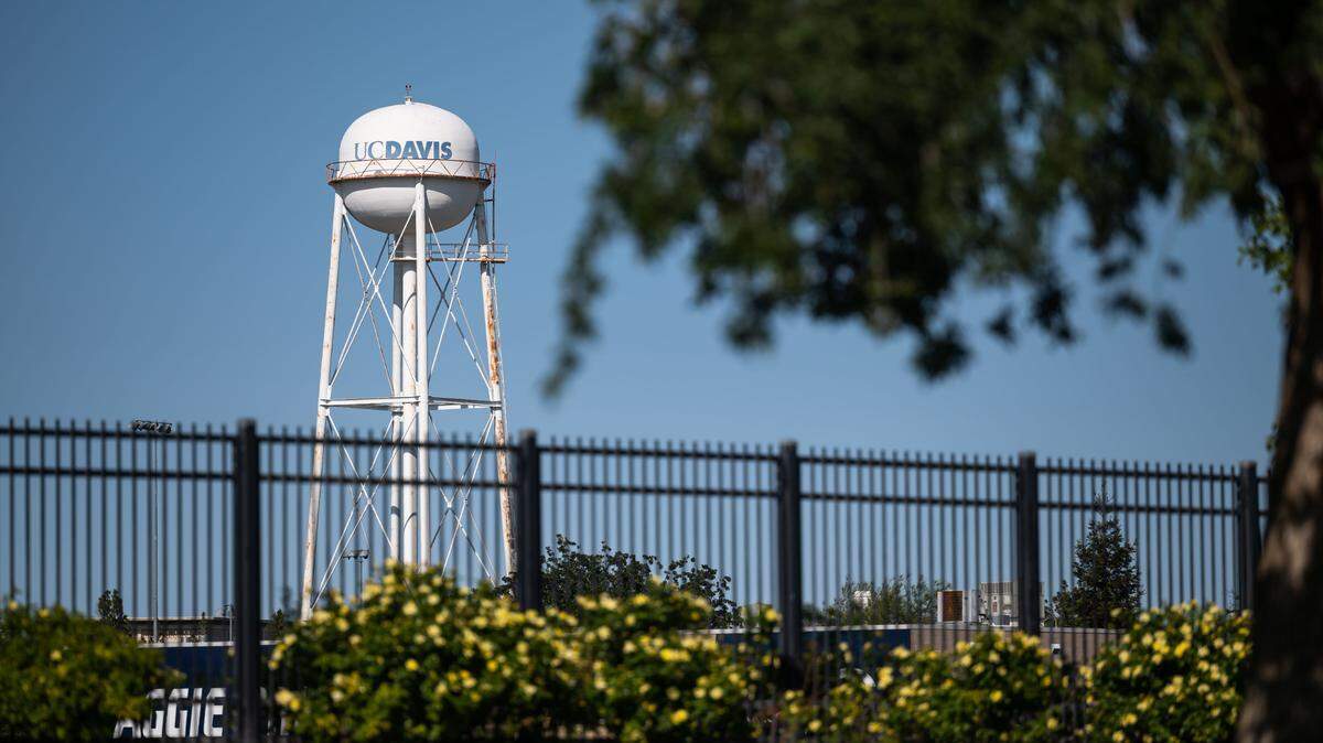 The UC Davis water tower, a local landmark, stands on campus on Saturday, April 23, 2022, in Davis, California. Drawings of Nazi swastikas were found Thursday Oct. 13, 2022, on the UC Davis campus.