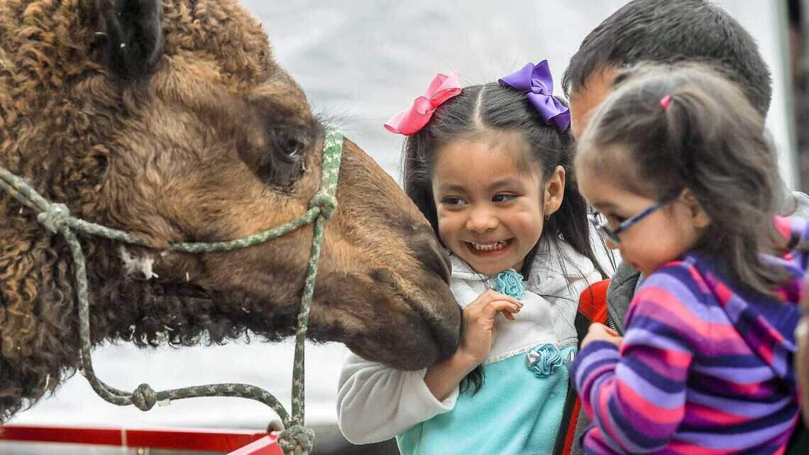 Sacramento County Fair is back at Cal Expo for Memorial Day weekend