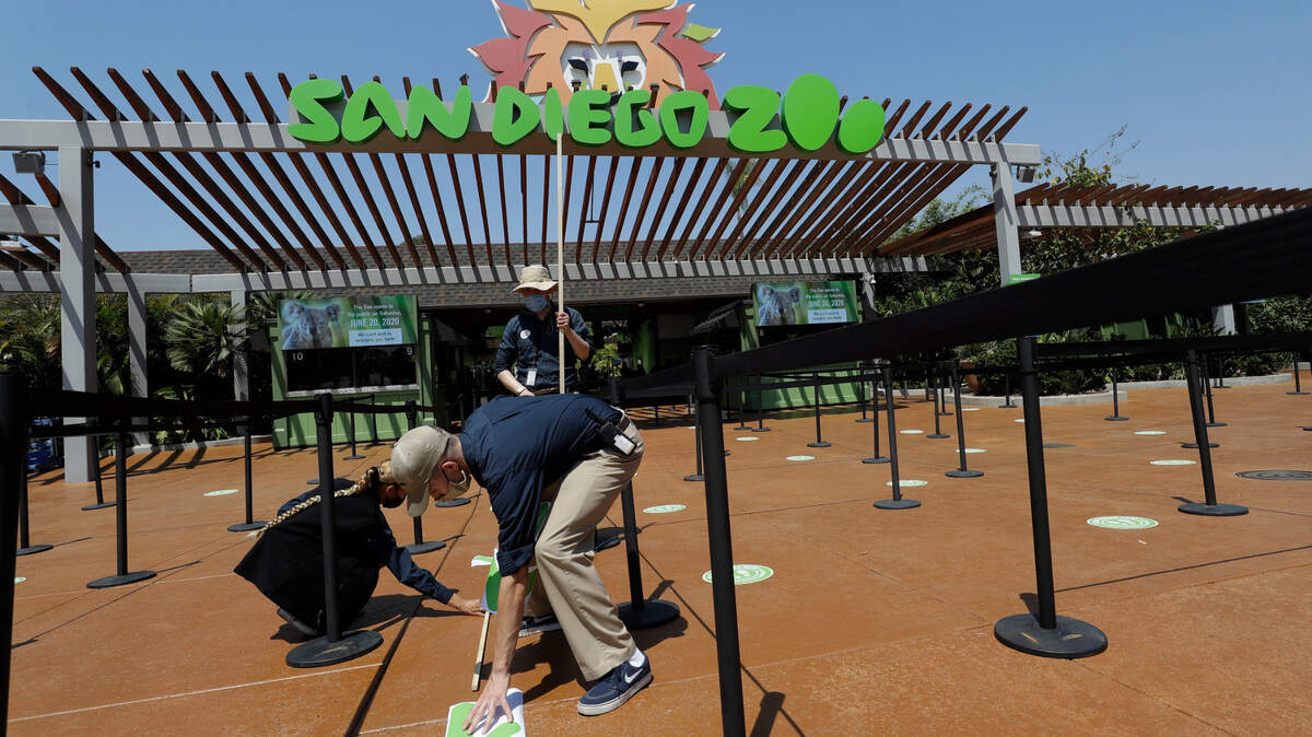 FILE - In this June 11, 2020, file photo, Devon Prince, front, puts down a sticker to guide visitors at the San Diego Zoo once it reopens, as Emmanuel Lopez, behind and Ariel Hayes look on, in San Diego. California added record numbers of jobs in June and the food service industry had gained back a third of the jobs it lost due to the coronavirus pandemic in March and April, according to state jobs data released Friday, July 17, 2020. (AP Photo/Gregory Bull, File)