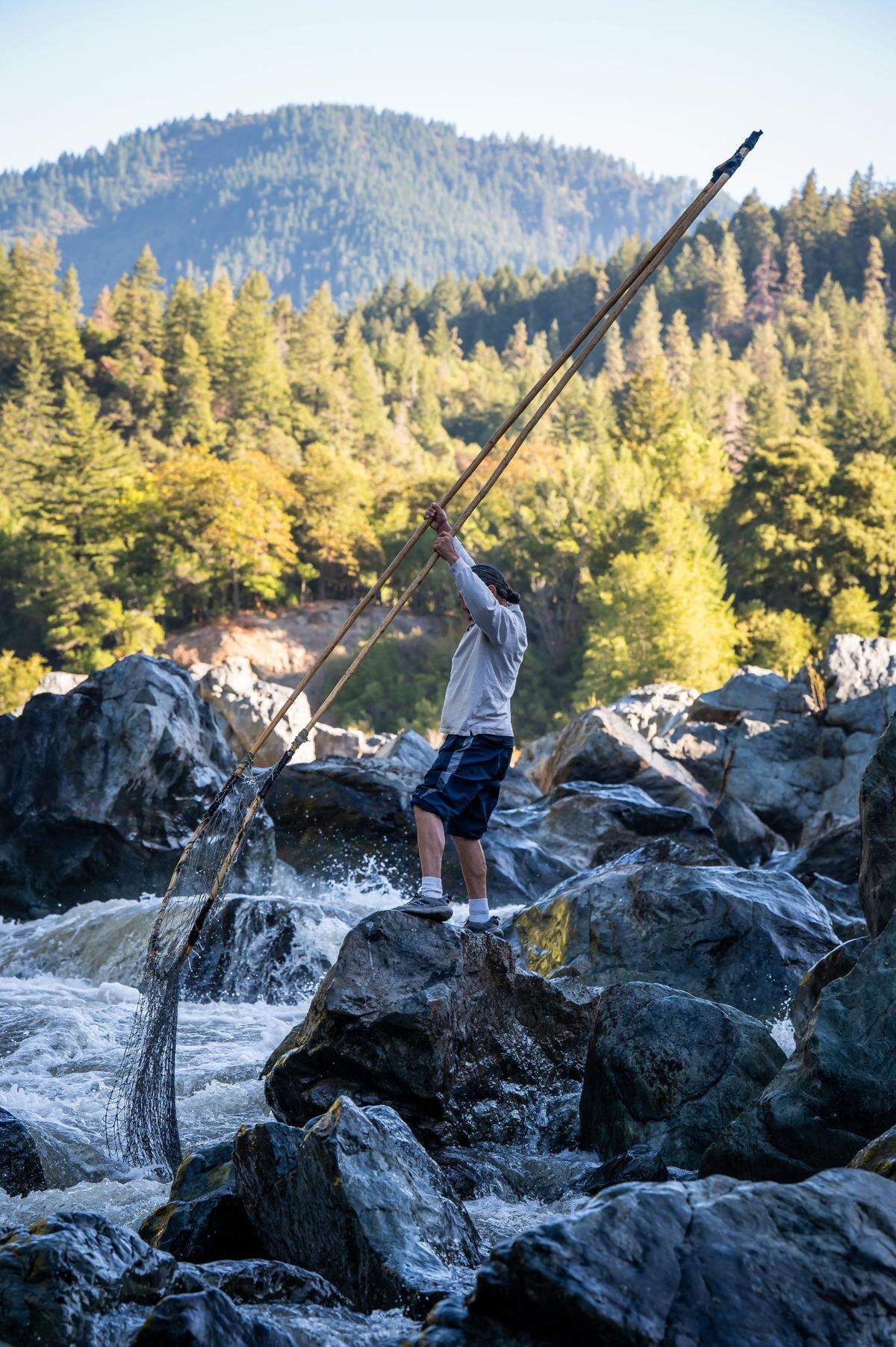 Ron Reed fishes for salmon with his traditional dip net in the Klamath River. The fish were cleaned by tribal youth and given to elders and others.