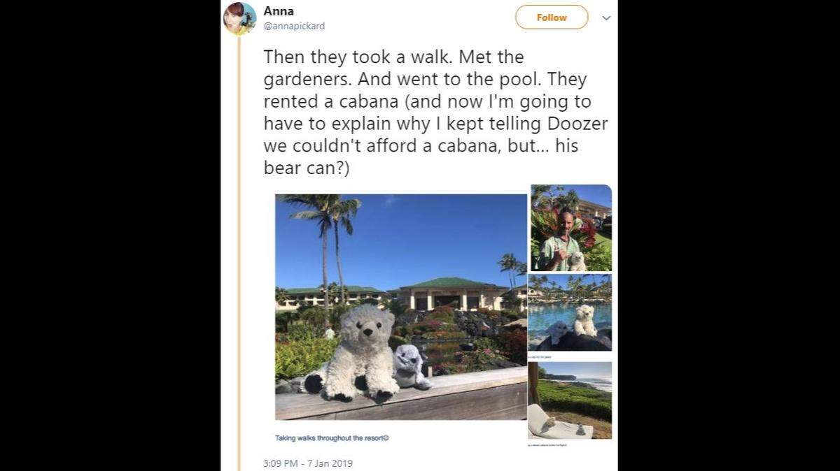 When a San Francisco boy left his teddy bear Sutro behind after a trip to Hawaii, a hotel not only returned him but documented his extended stay — with luxury amenities.
