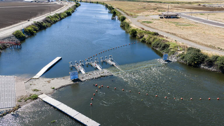 See summertime Delta barriers go up as wildlife officials OK future tunnel project