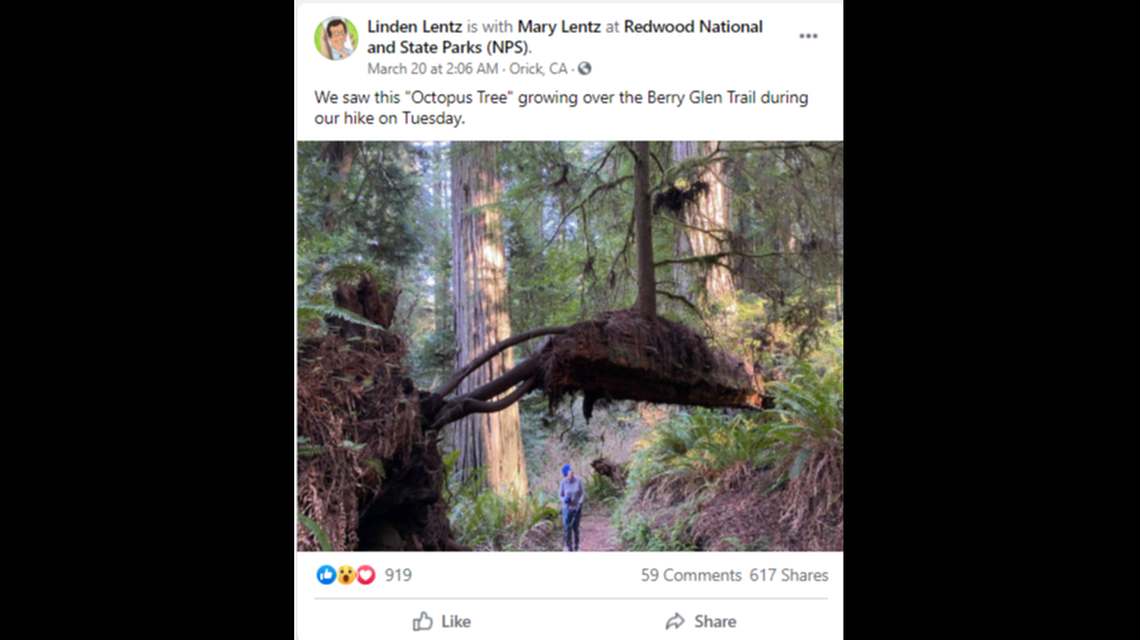 Hiker Linden Lentz posted this photo March 20 on a Facebook page devoted to photos taken in Humboldt County, California.