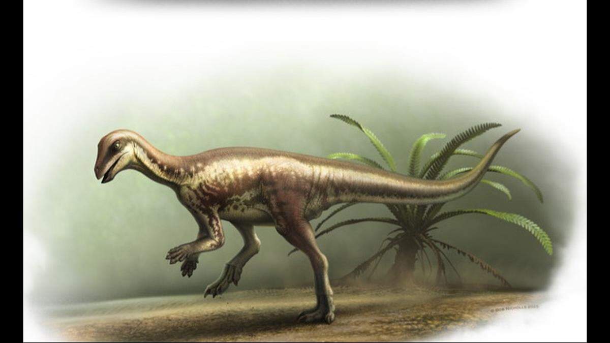 A rendering of the Enigmacursor mollyborthwickae, a newly described small dinosaur species.