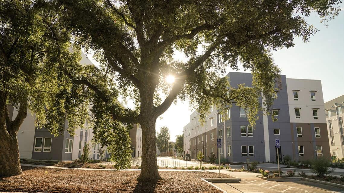 UC system: We would not “create a secret loophole” to pay research scholars less | Opinion