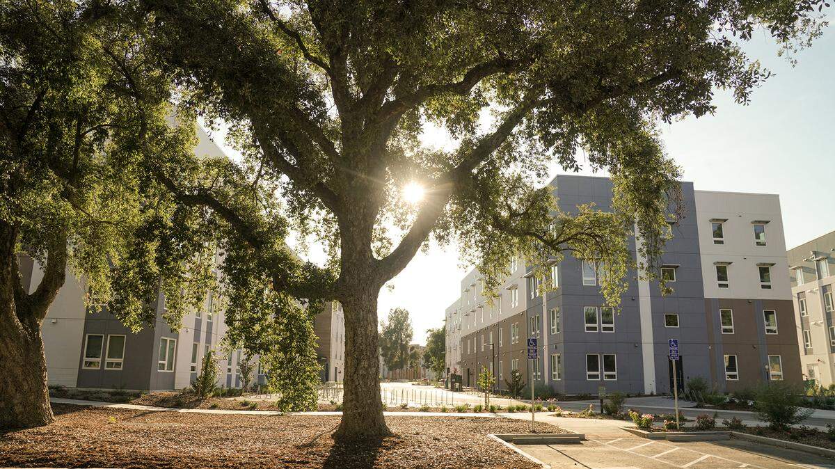 Orchard Park, a 19-acre student housing neighborhood at UC Davis, features 11 four-story residental buildings with 1,500 beds for students and families.