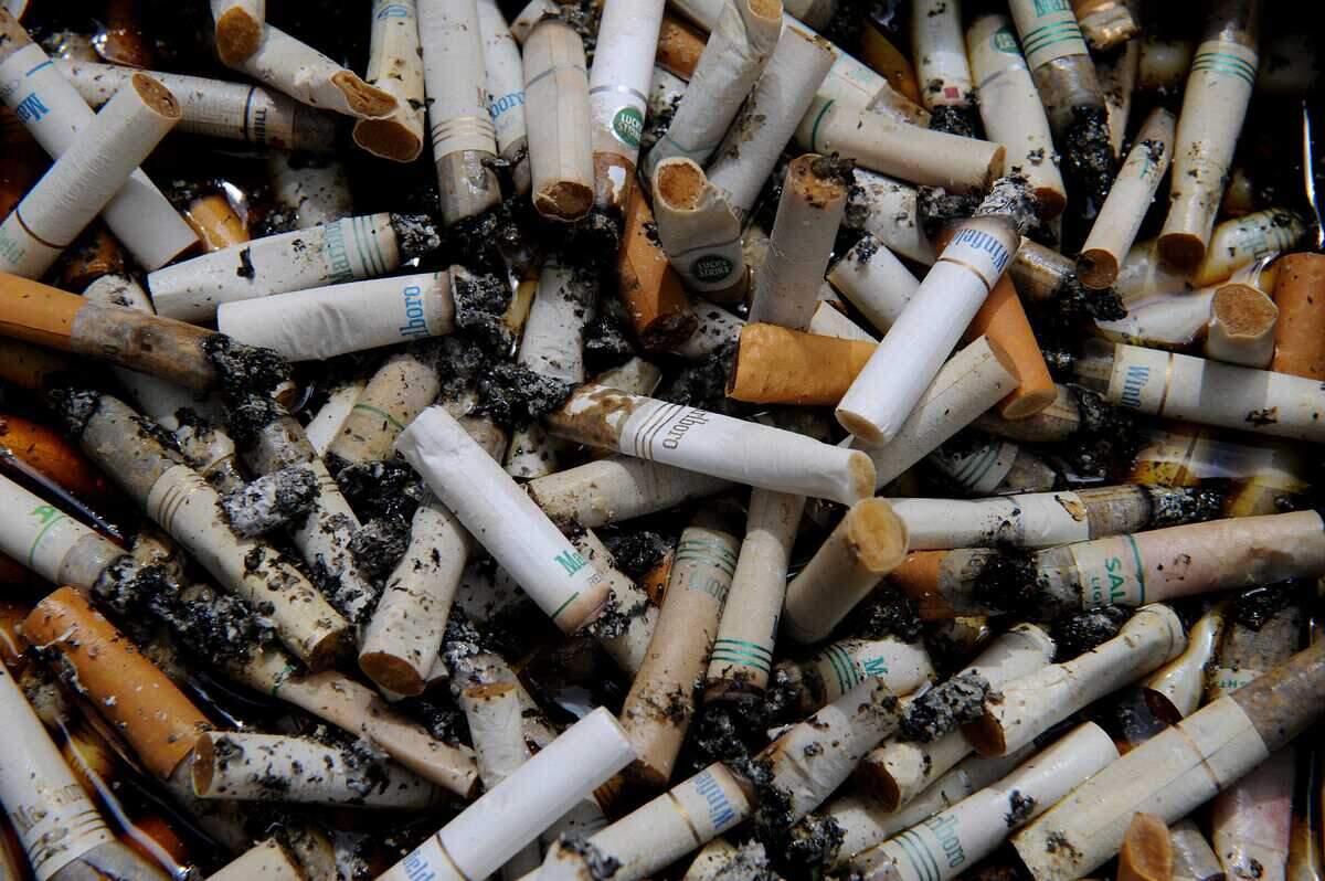 clean cigarettes A CIGARETTE - Updated July 2026 - 1700 E Main St, Owosso, Michigan - Vape Shops - Phone Number After the 'near oppressive' clean