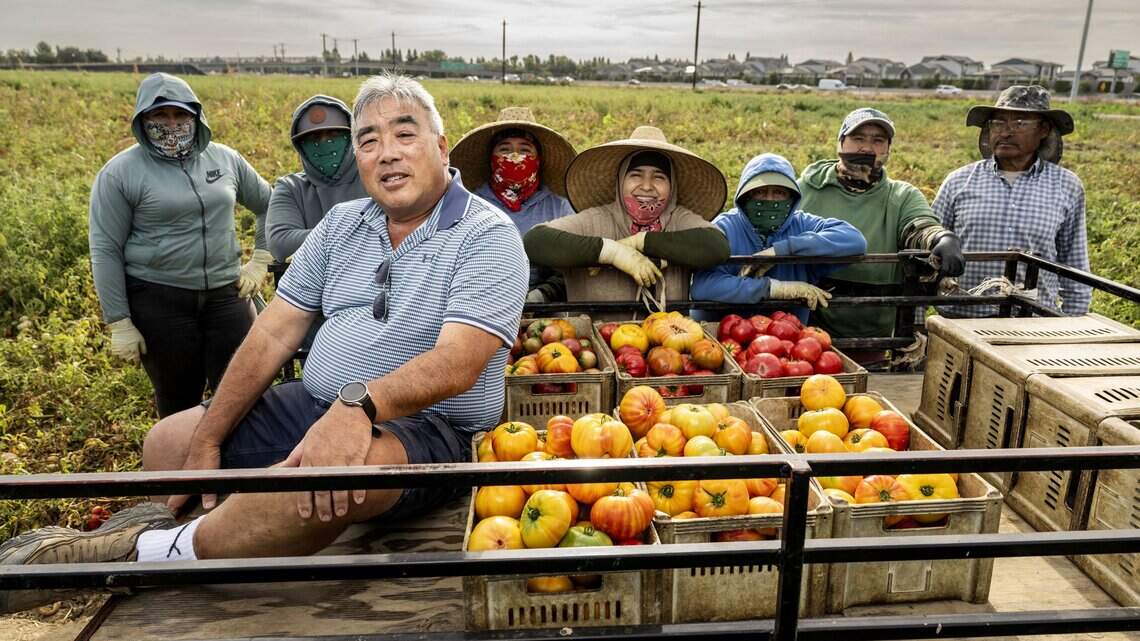 How Sacramento’s favorite heirloom tomatoes got their start with this farmer