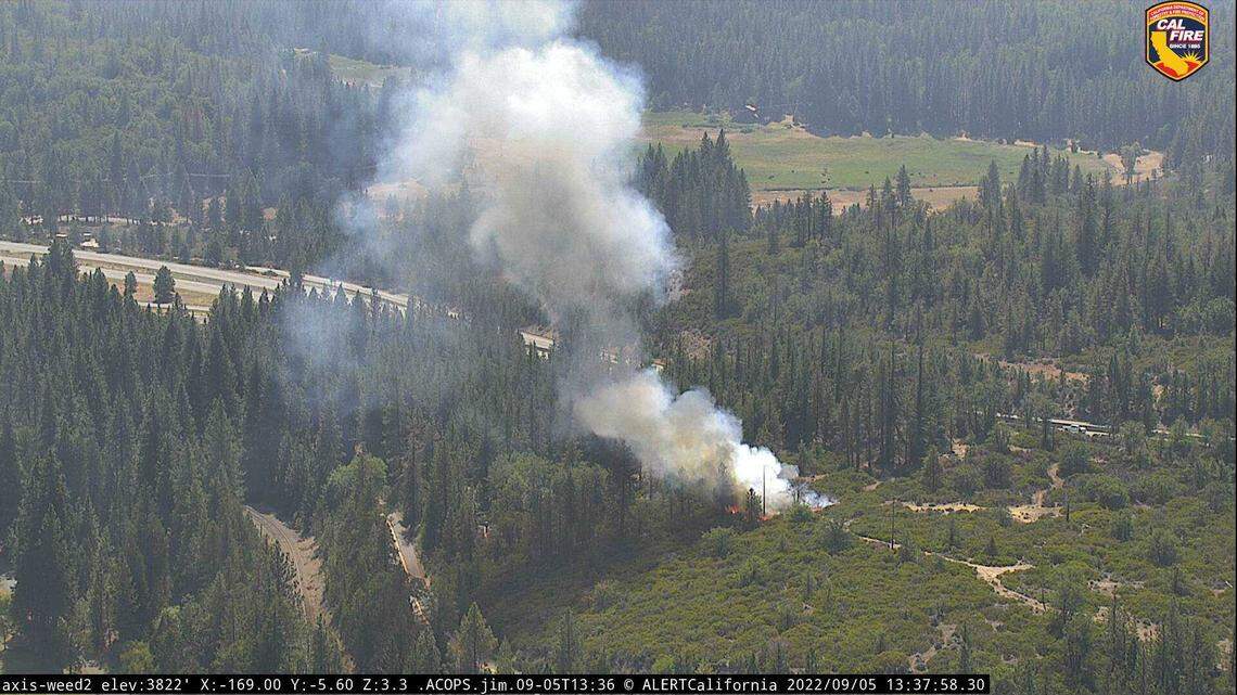 Smoke from a vegetation fire in Weed in August 2022 is seen from a Cal Fire camera connected to the AlertCalifornia camera network. Firefighters and the camera network, operated by UC San Diego, has rolled out a new artificial intelligence tool that scans for signs of smoke in its network of 1,000 camera feeds across the state.