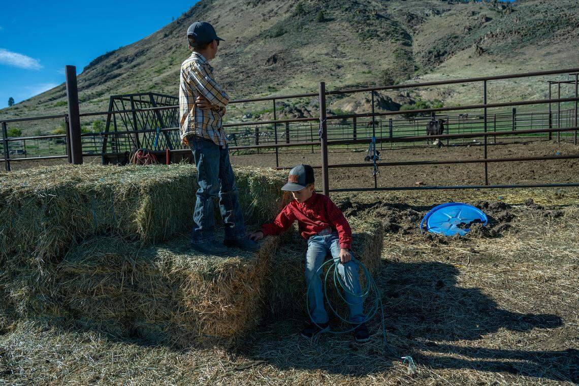 Waylon Greenwood, 9, left, looks toward where he previously spotted wolves as he and his brother Walker Greenwood, 7, play on hay bales at their ranch near where the family keeps their horses in May in Sierra Valley. Their father, who has already lost two calves to wolves, is now concerned about his children being outside with wolves in the area.