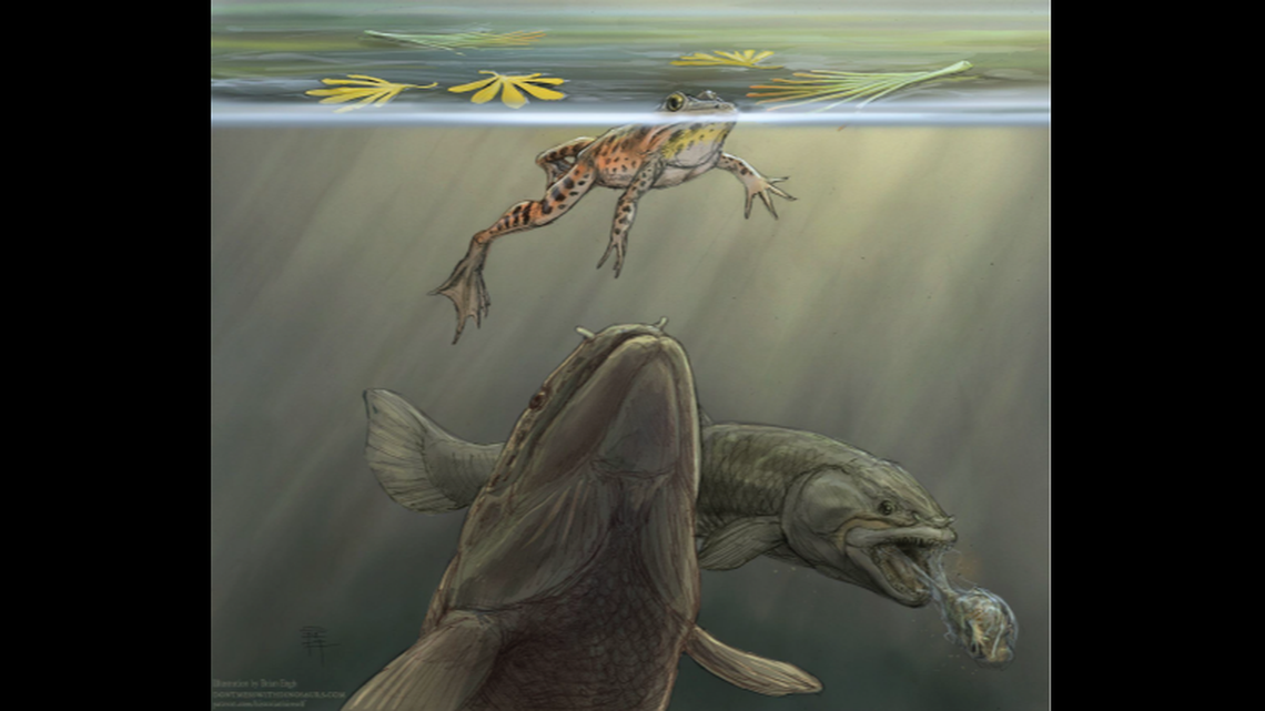 Paleontologists found the fossil of multiple amphibians that were likely vomited by a fish, perhaps as it was fleeing a predator 150 million years ago, Utah officials said. Photo illustration by Brian Engh, courtesy of Utah Division of State Parks