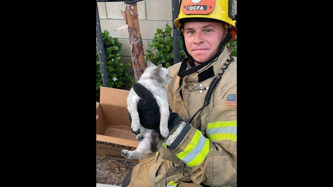 A kitten trapped in a car was rescued after a note left on the car led to its rescue, Orange County fire officials said.