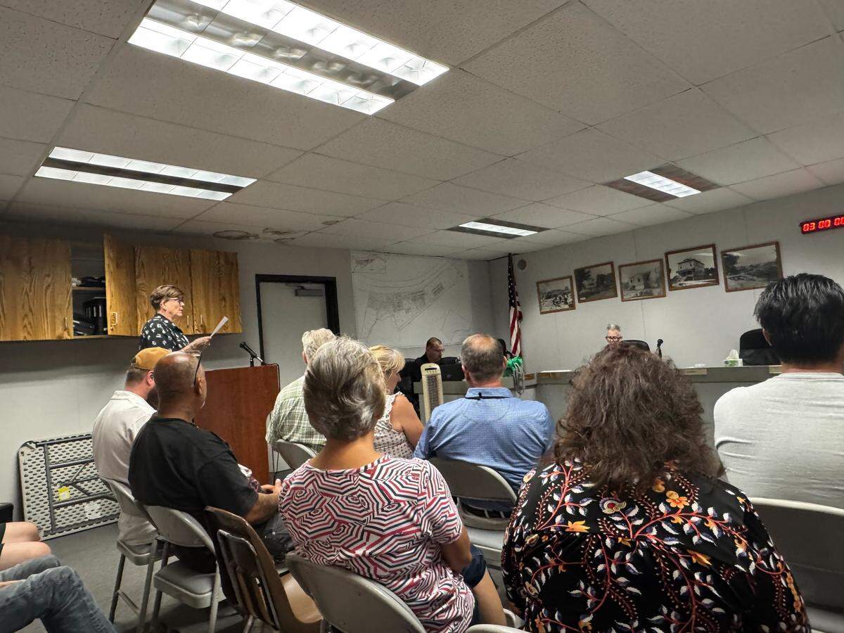Former Isleton Mayor Iva Walton pleads to her fellow council members to reinstate an encroachment permit for her business, Mei Wah Beer Room, at a five-hour city council meeting on Tuesday. Walton was ousted as mayor less than an hour prior and was replaced by former Vice Mayor David Kent.