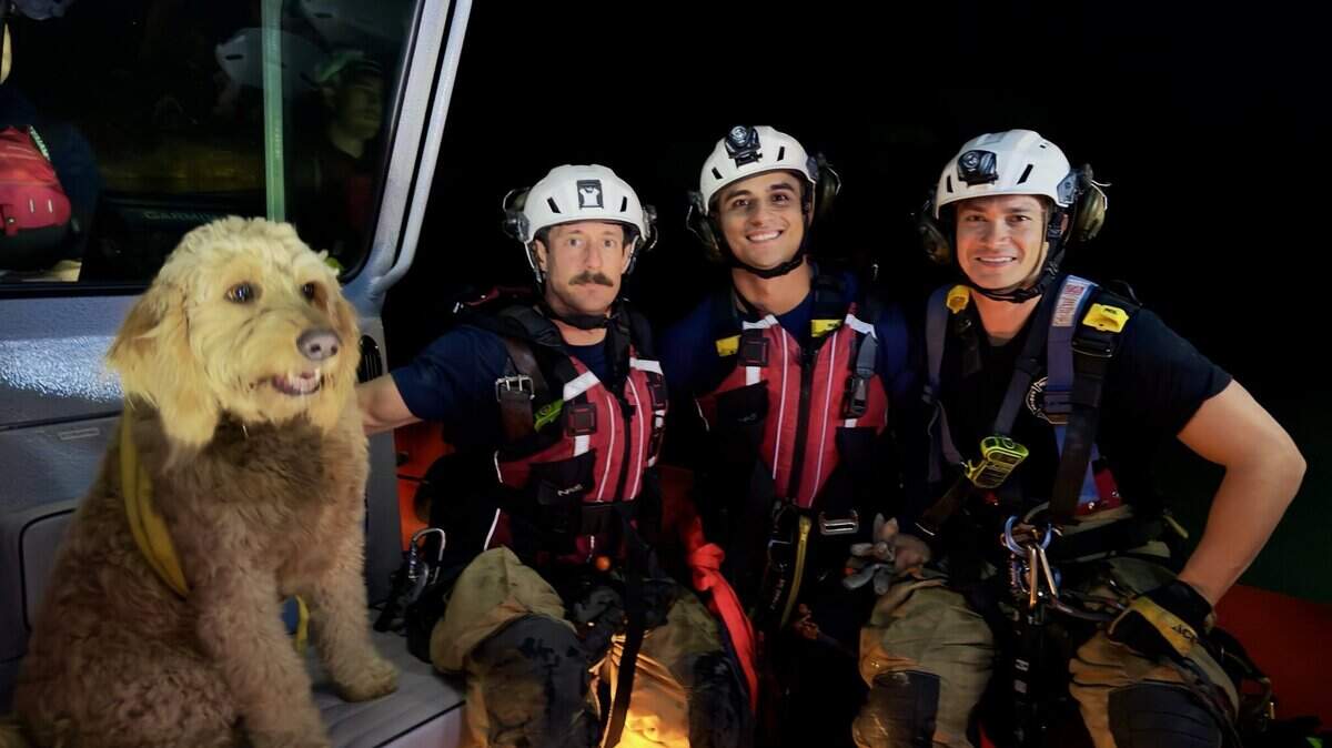 The Sacramento Metropolitan Fire District with Charlie, a goldendoodle mix, on Thursday, Nov. 28, 2024. Charlie had gotten stuck in the Fair Oaks bluffs after wandering out of his home. He was rescued by the Fire District’s Heavy Rescue team and Unmanned Aerial Vehicle team.