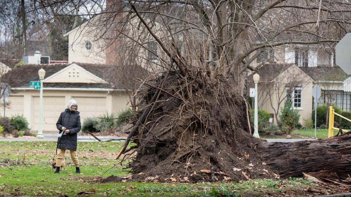 Broadway Sacramento cancels show as wind intensifies. ‘Stay home,’ mayor says