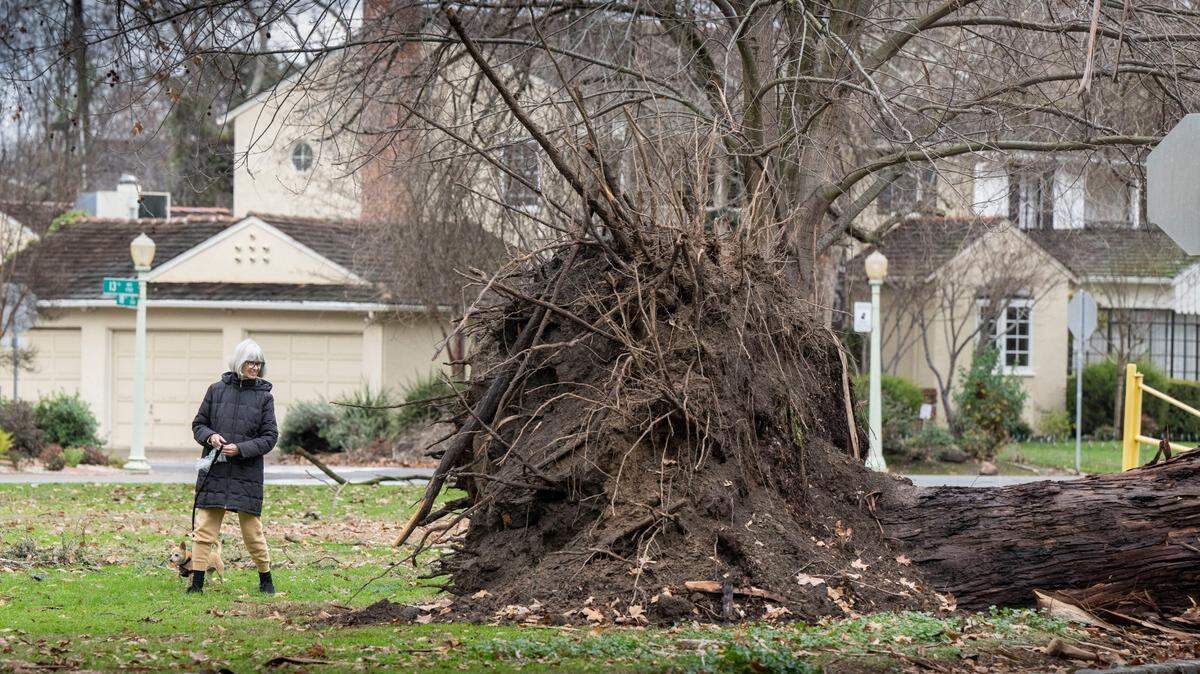 Broadway Sacramento cancels show as wind intensifies. ‘Stay home,’ mayor says