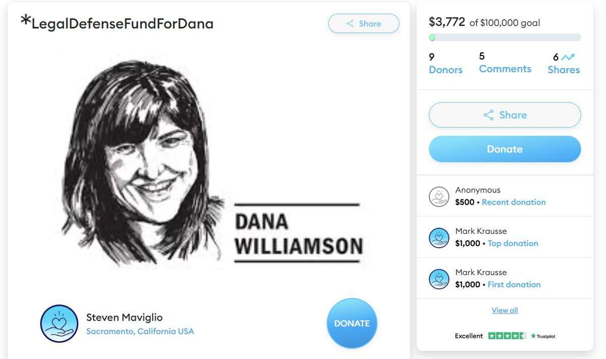 A screenshot for the Dana Williamson fundraiser on the platform *Spotfund, taken Tuesday, the day after it launched.