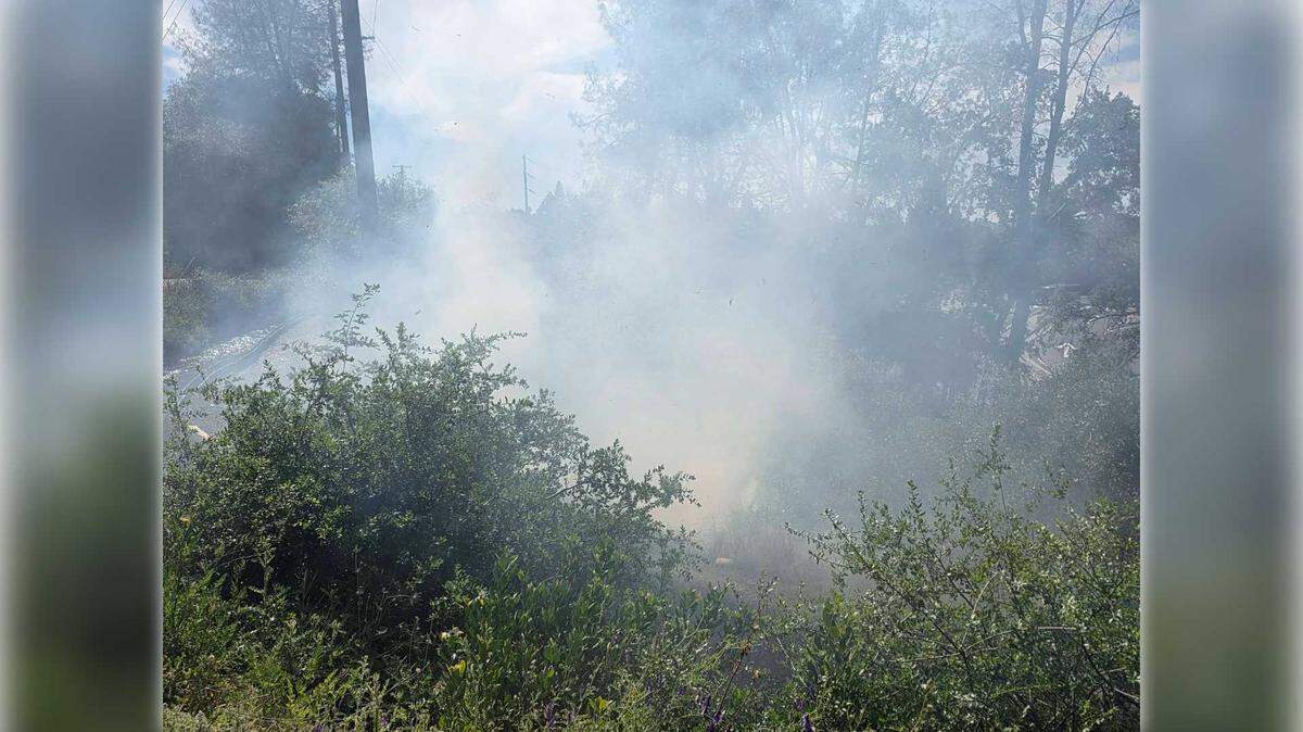 Damage to a Pacific Gas and Electric utility pole caused by a squirrel sparked a small vegetation fire Sunday, April 5, 2026, according to the Auburn Police Department. There were no injuries reported and no structures were threatened.