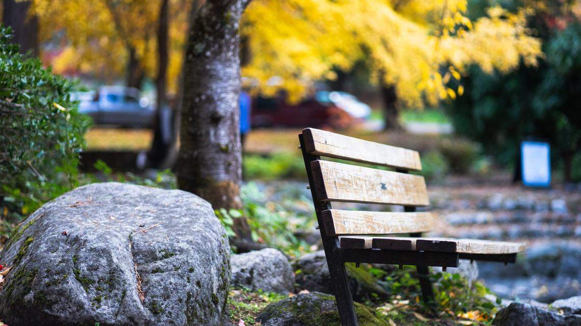 Cameras meant to deter crime in Santa Monica parks by playing classical music blasted neighbors at full volume after a glitch, police say.