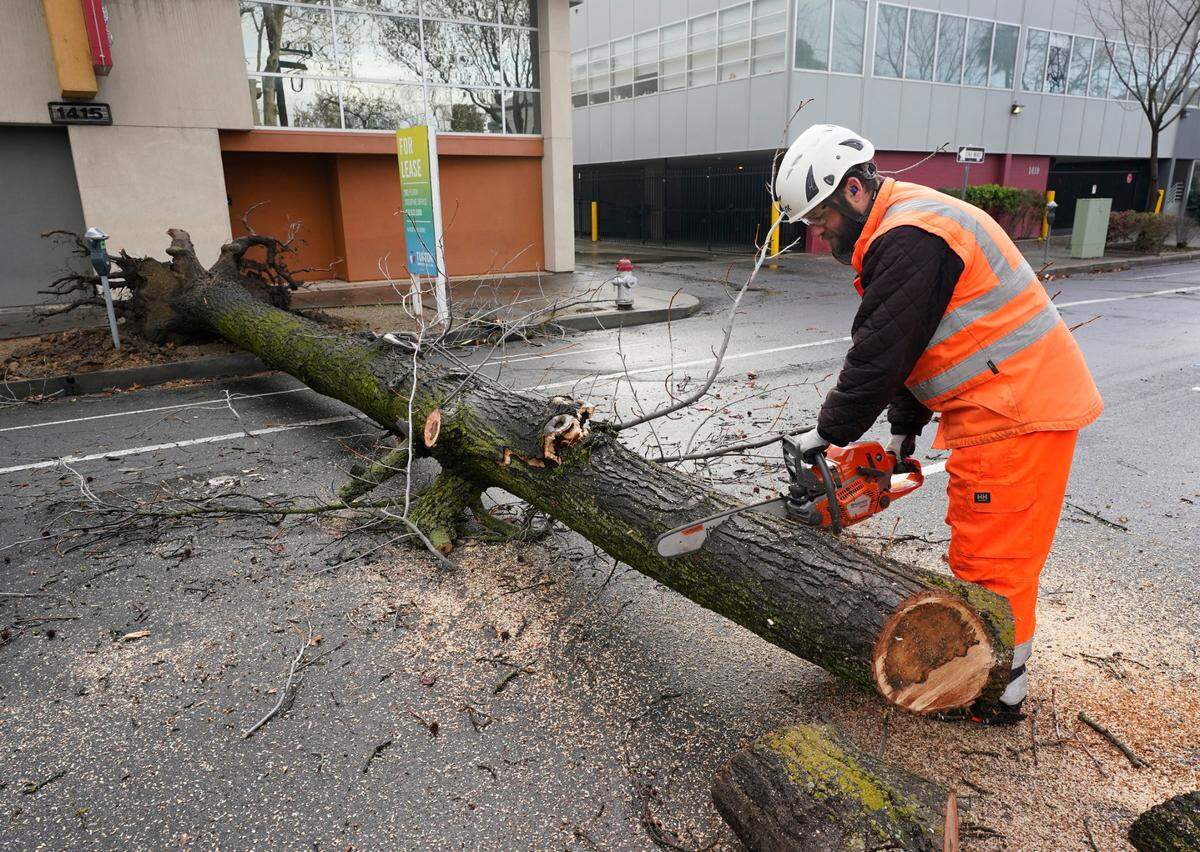 Sacramento City worker Kevin McClain cuts up a tree that was blown over by an overnight storm that swept through Sacramento, Calif., Wednesday, Jan. 27, 2021.