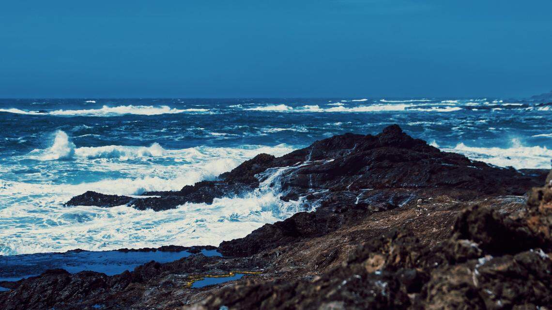 A father kayaking with his son off Mendocino County died when a wave spilled them into the ocean, California officials say.