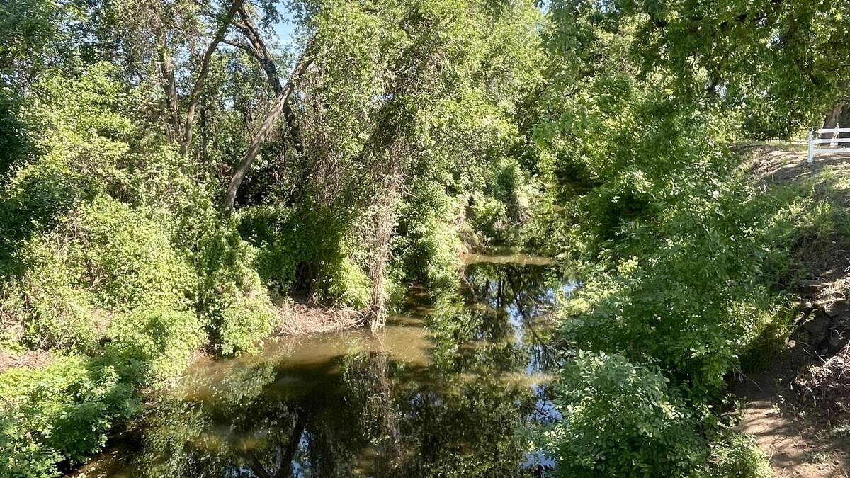 Pine Creek today at Wilson Landing Road in Chico.