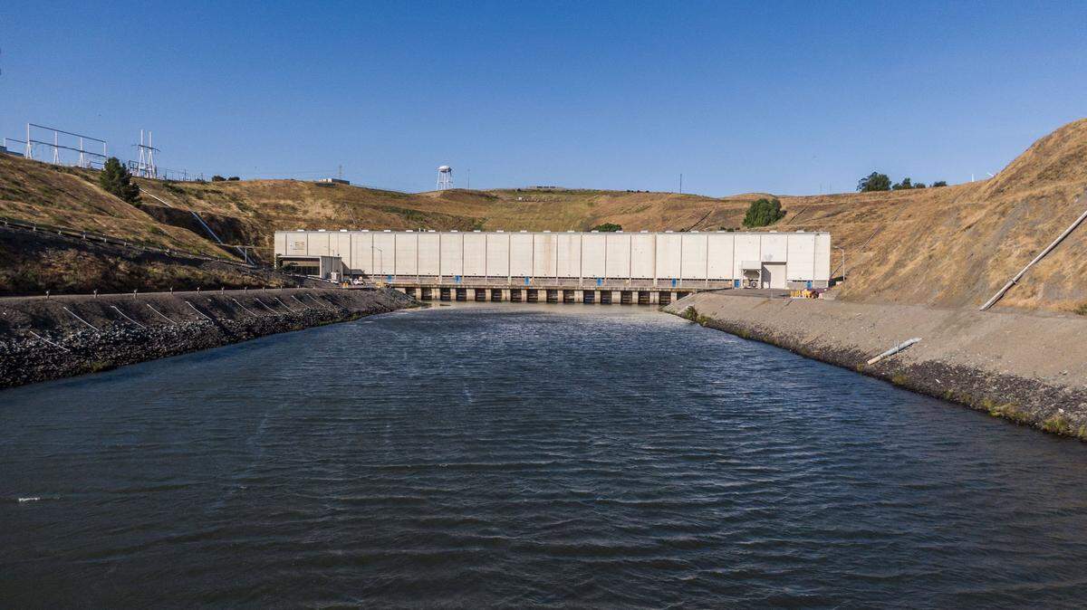 The Harvey O. Banks Pumping Plant, photographed Wednesday, pumps water from the Delta into the California Aqueduct. The John E. Skinner Delta Fish Protective Facility fish protective facility intercepts fish about two miles before water reaches the pumps.