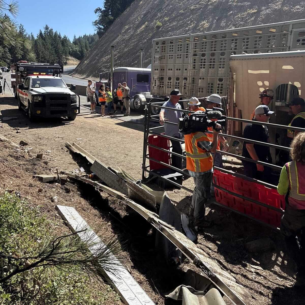 Caltrans officials work to clear the roadway after a tractor-trailer overturned carrying pigs on Interstate 80 near Colfax. The roadway reopened at 1 p.m. Tuesday, June 23, 2026.