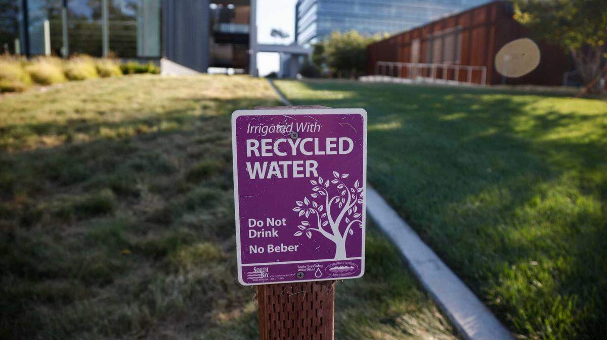 A bill signed Friday by Gov. Gavin Newsom will prohibit the irrigation of decorative lawns at commercial, industrial or government sites unless they are watered with recycled water, like this landscaping at Roku headquarters in San Jose.