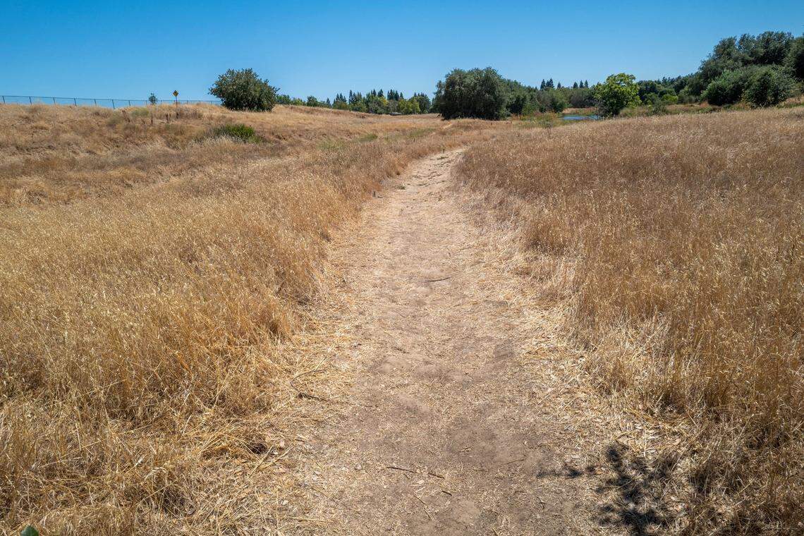 A dusty trail extends a mile to Elk Grove’s Jack Hill Park from the campsite where homeless couple Joseph de la Cruz and his wife live under the shade of a cluster of trees. De la Cruz said they need resources to work and find permanent housing, not an ordinance that might force them out of their tent with no place to go