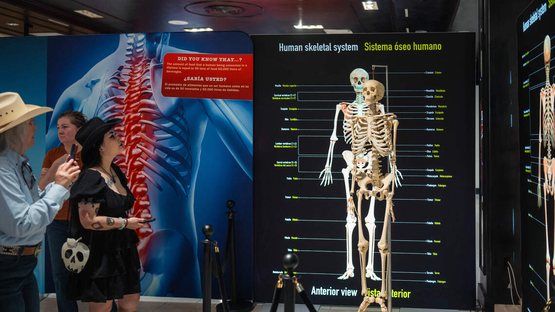 New exhibit to take Sacramento on a trip inside the human body