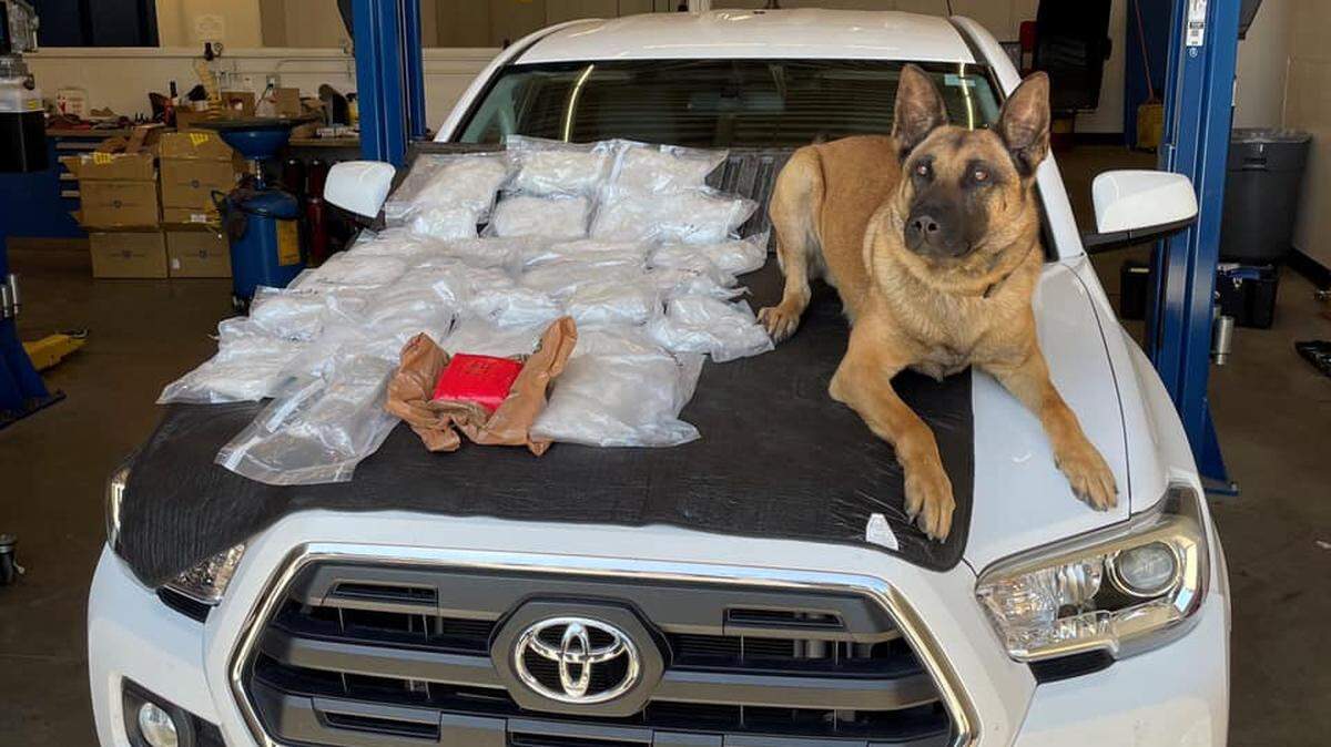 The Butte County Sheriff’s Office and Butte Interagency Narcotics Task Force seized over 25 pounds of drugs on Friday morning. K-9 Enzo helped discover the drugs during a traffic stop in Palermo, Calif. on April 9, 2021.